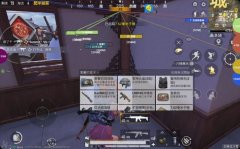 和平精英外挂模拟器多吗（有哪些常见的和平精英外挂模拟器功能？）
